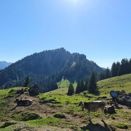Auszeit